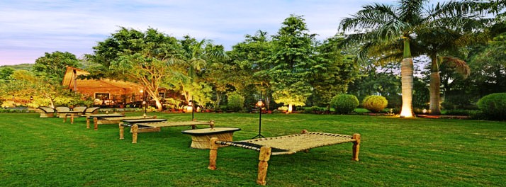 2558/The-Fern-Ranthambore-Forest-Resort-11.jpg