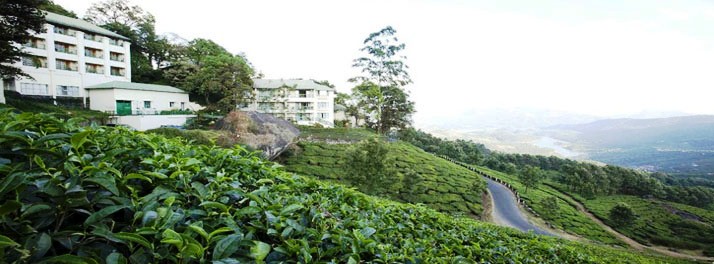 555/Club_Mahindra_Munnar-Munnar_06.jpg